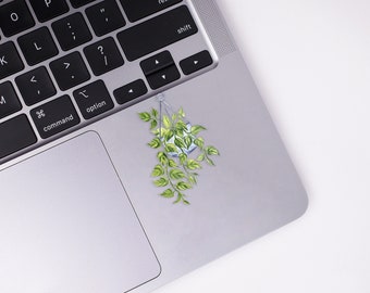 Clear Golden Pothos Hanging Plant Sticker