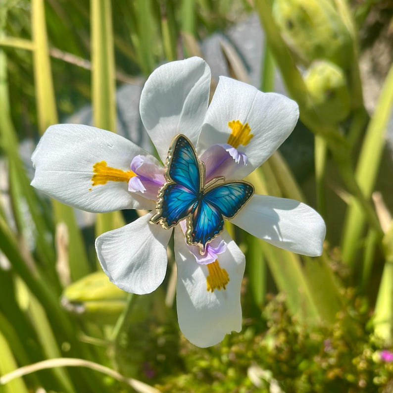 May include: A blue butterfly brooch with gold trim rests on a white flower with yellow and purple accents. The brooch has detailed blue wings. The flower is surrounded by green foliage, creating a natural, vibrant scene.