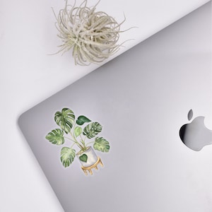 Monstera Plant Sticker | House Plants Sticker | Monstera Stickers | Plant Lover Stickers | Clear Plants Sticker | Plant Mom | Plant Dad