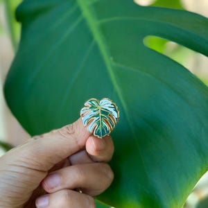 Monstera Leaf - Monstera Deliciosa Albo Borsigiana Variegated - Monstera Plant