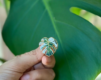 Monstera Leaf - Monstera Deliciosa Albo Borsigiana Variegated - Monstera Plant