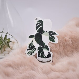 May include: A sticker of a potted plant with green and white leaves. The sticker is on a pink fuzzy surface. The text on the sticker reads "Plant Mom".