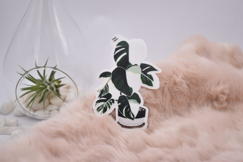 May include: A sticker of a potted plant with green and white leaves. The sticker is on a pink fuzzy surface. The text on the sticker reads "Plant Mom".