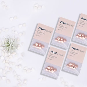 May include: Five packages of rose gold tie tack pin backs. Each package contains six pin backs and has the text "Plant Scouts" and "Deluxe Secure Tie Tack Pin Backs Set of 6" printed on it.