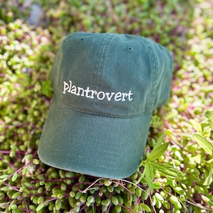 May include: A dark green baseball cap with the word "plantrovert" embroidered in white. The hat is resting on a bed of green and purple plants. The cap has a curved brim and a classic six-panel design.