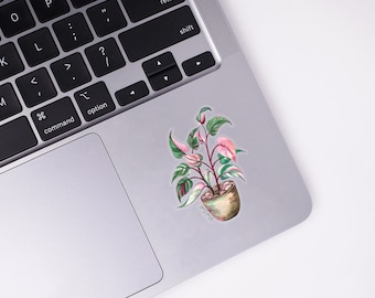 Pink Princess Philodendron Plant Sticker | Weatherproof Vinyl Decal