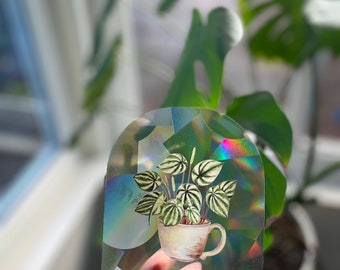 Watermelon Peperomia Suncatcher Sticker