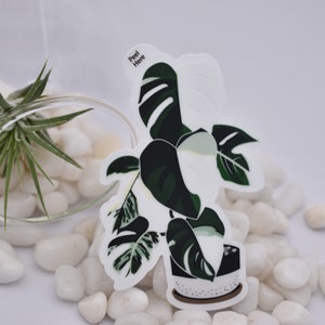 May include: White sticker with a green and white monstera plant illustration. The sticker has the text "Peel Here" at the top.