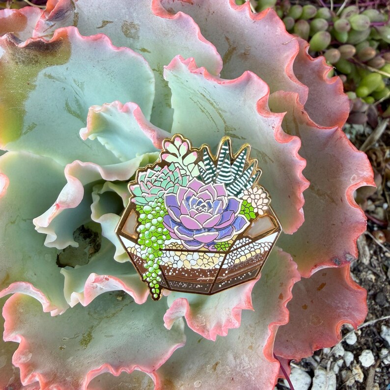 May include: A gold-coloured enamel pin depicting a terrarium with diverse succulents. The pin showcases a purple rose-like succulent, green hanging beads, and other green and white plants. The pin is set against a backdrop of a large succulent plant.