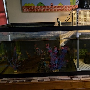 May include: A black glass aquarium with a white plastic basking platform and a black metal cage with a light fixture on top. The aquarium is filled with water and has a variety of plants and rocks inside. The aquarium is sitting on a wooden table.