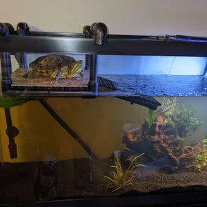 Premium Four Arm Hanging Turtle Basking Platform - Made to Order for Your Tank Size! Tons of Great Reviews. Instruction Sheet Included!