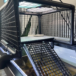 Tank Topper Turtle Dock! Sits on top of your aquarium and fits 18-19" width tanks (50, 65, 75, 125gal) Maximum water depth and safe basking!