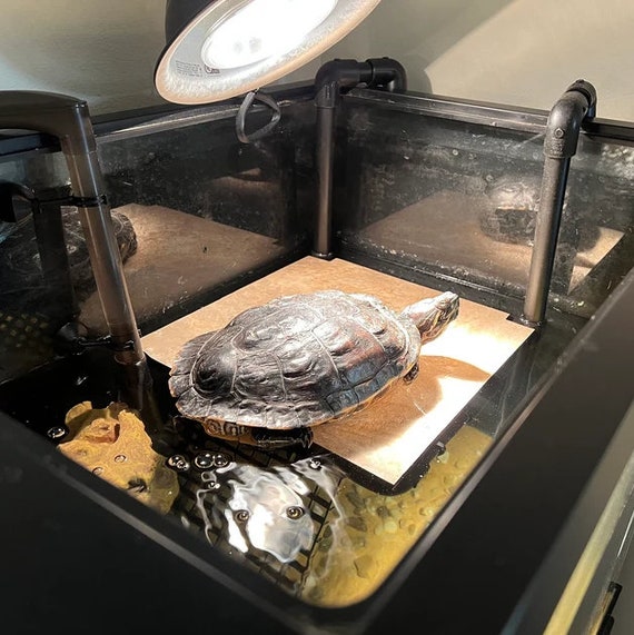 Is Great Stuff Pond & Stone Spray Foam safe for RES? : r/turtle
