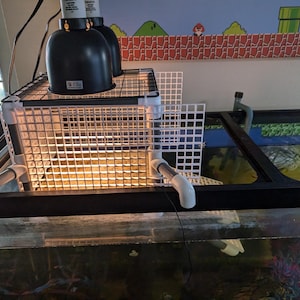 May include: A black and white reptile habitat with a black light fixture and a white plastic mesh cage. The cage is attached to the top of the tank with white PVC pipes. The tank has a black frame and a clear glass front.