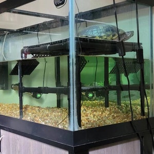 Premium Custom Built Aquarium Safe Turtle Basking Platform image 9