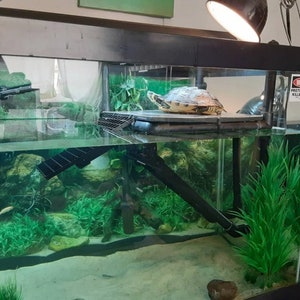 Premium Hanging "Side Saddle" Aquarium Safe Turtle Basking Platform - Hangs From One Side Of Your Aquarium!