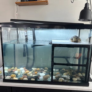 Premium Custom Built Aquarium Safe Turtle Basking Platform - Etsy