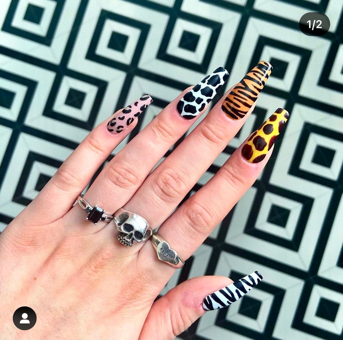 safari nail