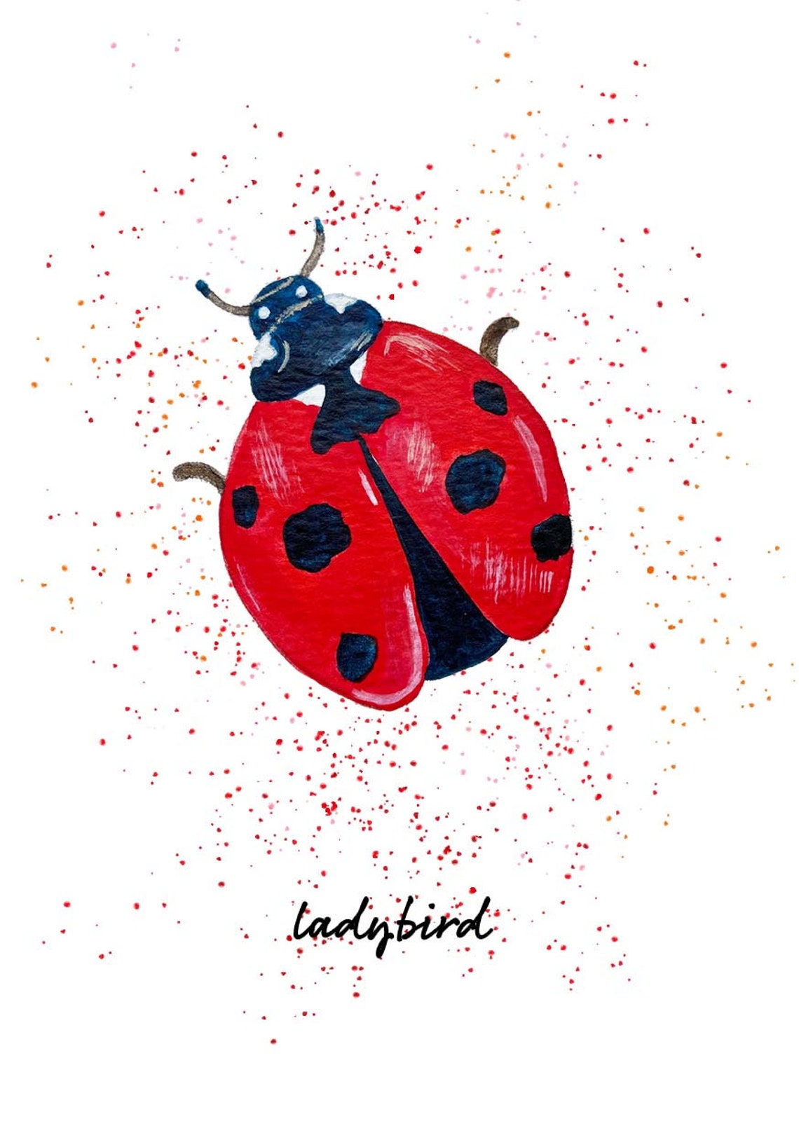 Ladybird Note Cards Set of Children's Note Cards - Etsy Israel