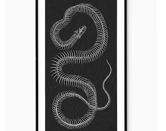May include: A framed black and white print featuring a detailed illustration of a snake skeleton. The snake's vertebrae and ribs are meticulously depicted against a dark background, creating a striking contrast. The artwork is framed in a black border, enhancing its visual impact.