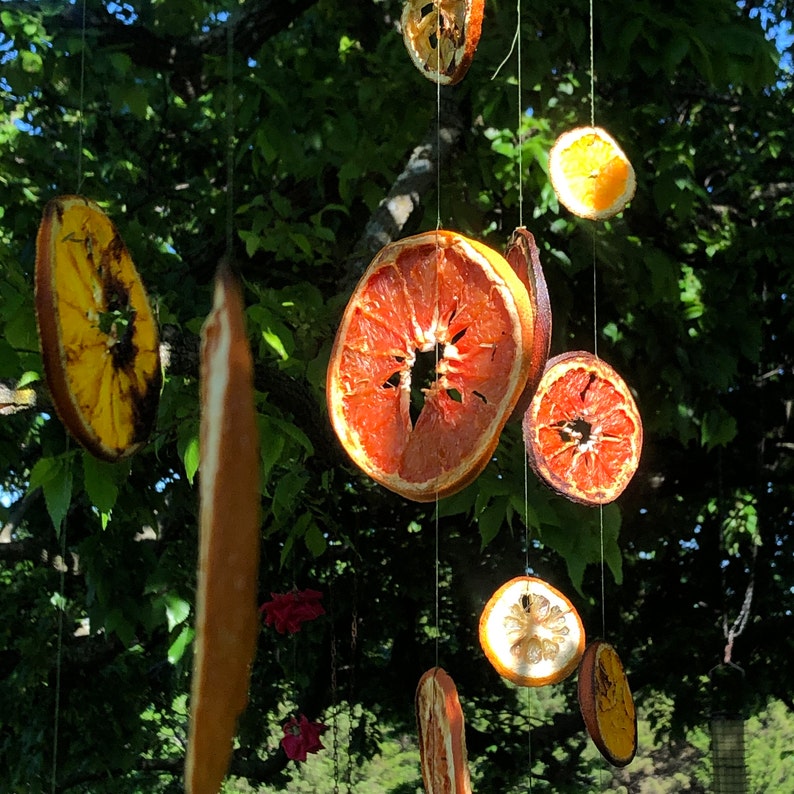 Dried Fruit Garland Etsy