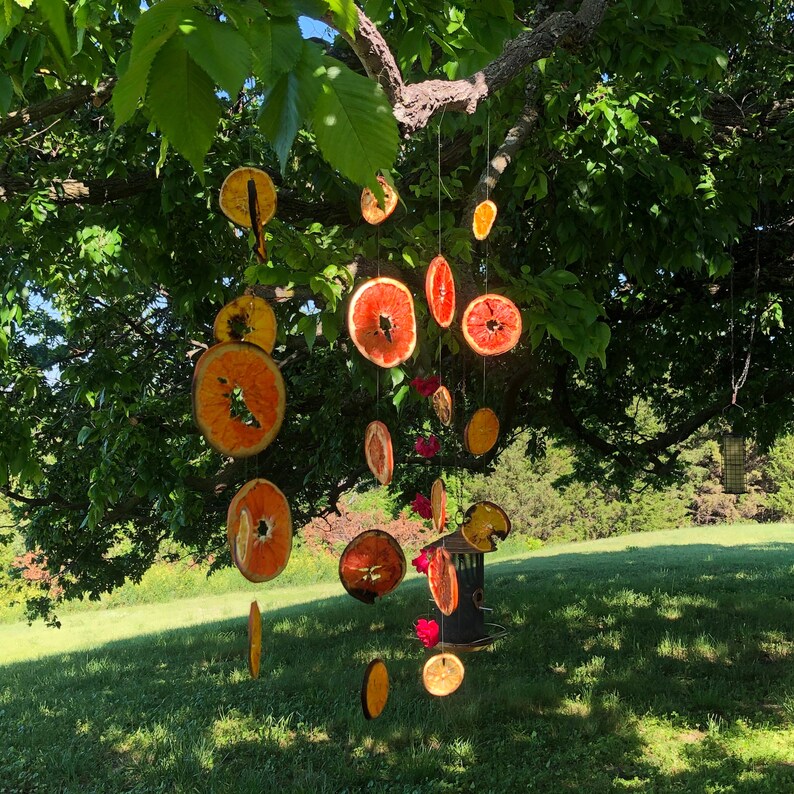 Dried Fruit Garland Etsy