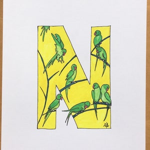 Erste Kunstwerk, von Hand bemalt &#39;n&#39;. Illustrierte Alphabet-Buchstabe, Sittich Thema