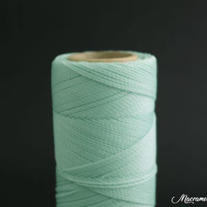 Cordino Linhasita cerato da 1 mm (15 metri/16 yd), colore n. 230, cordino per macramè, cordino per gioielli, cordino in pelle