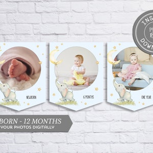 Elephant Photo Banner, Printable 1st Birthday Bunting, Instant Download #059-41PB