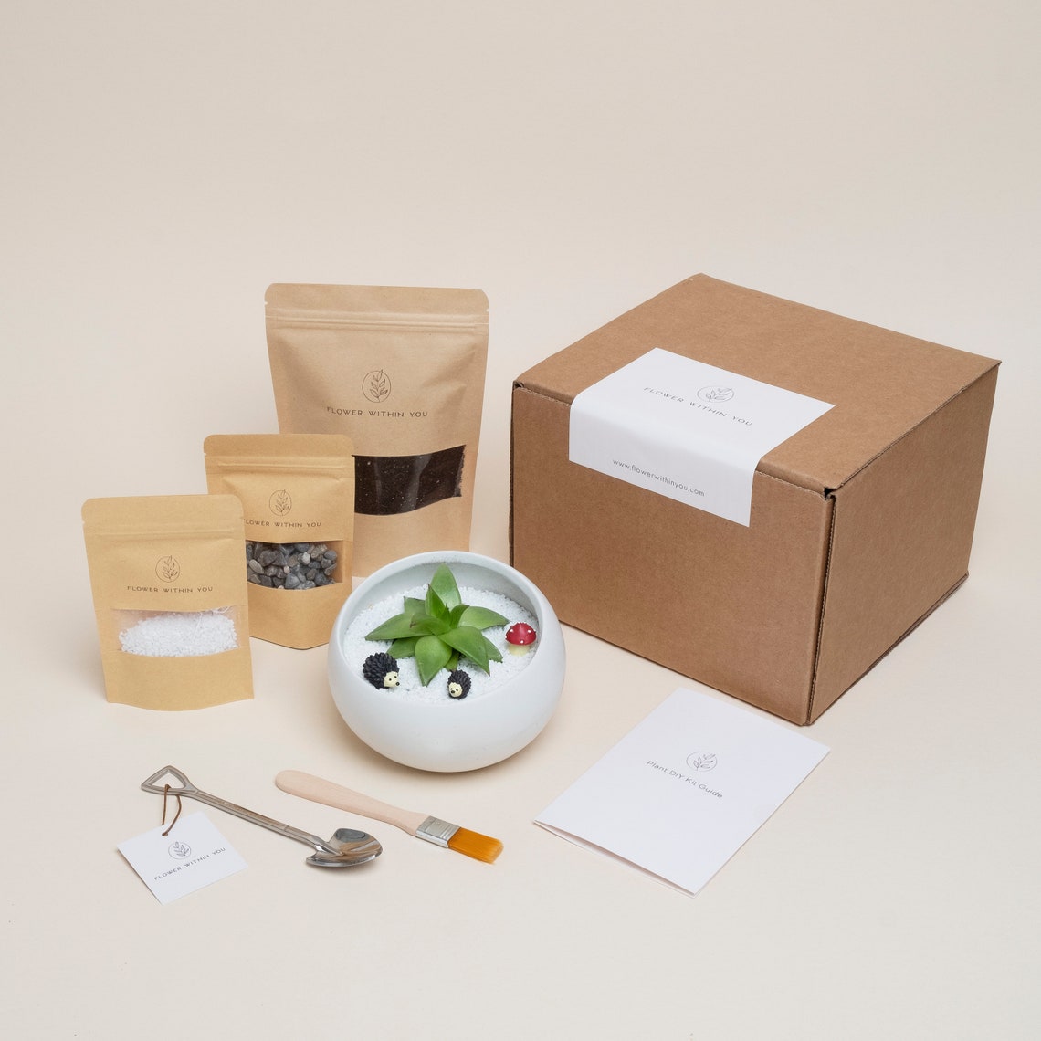 Terrarium DIY Kit Create Your Own Gift Box Succulent Gift
