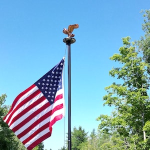 May include: An American flag is flying on a black pole with a golden eagle finial on top. The flag is waving in the wind against a blue sky with green trees in the background.