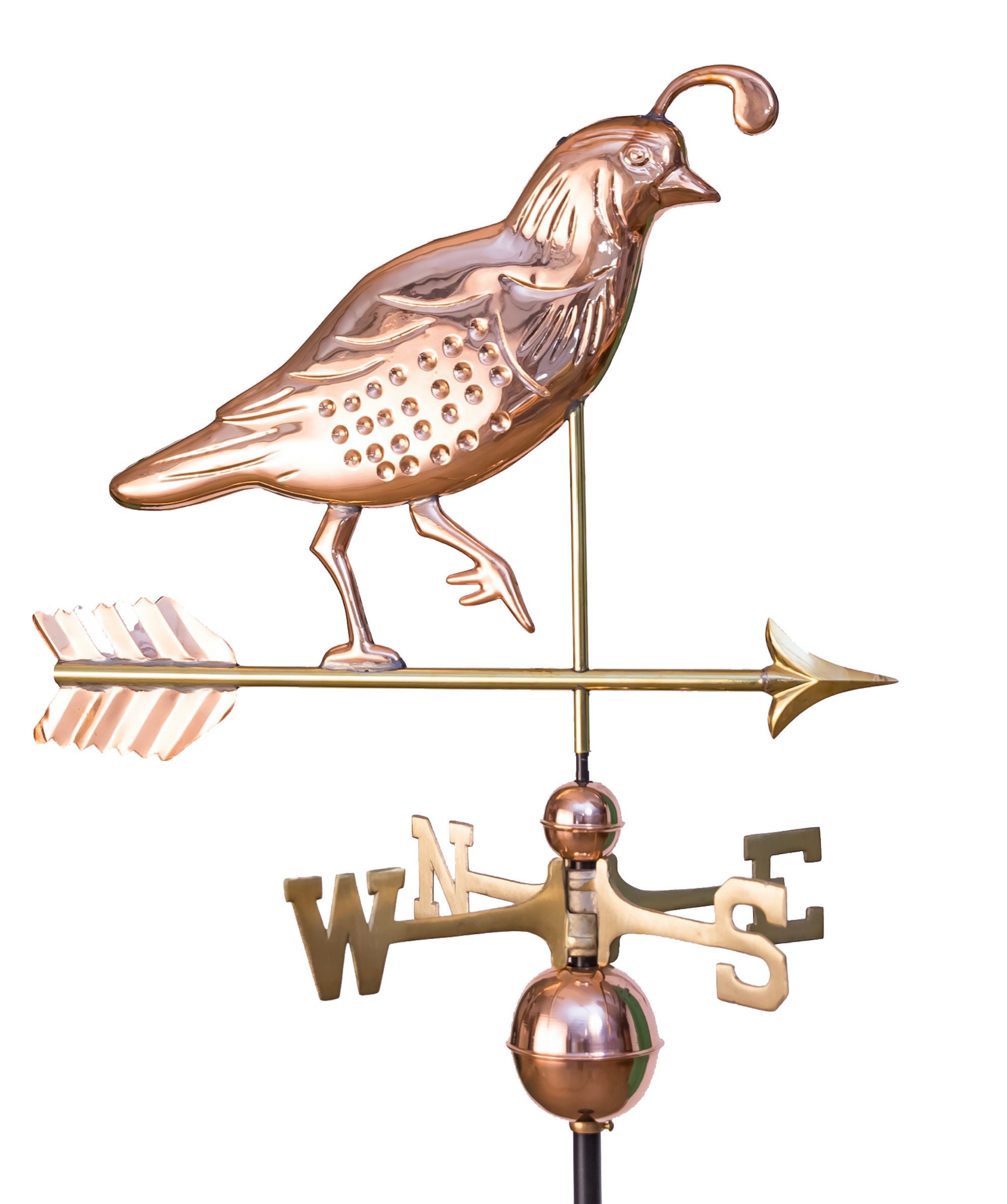 Quail with Chicks Silhouette Steel Weathervane