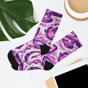 COLON HISTOPATHOLOGY SOCKS, Histology Graduation Gift, Pathology, Lab Week, Medical Lab Science, Cytology, Phd Research, Women in Science