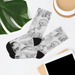 ANATOMY SOCKS, Medical Science Graduation Match Day Gift, Doctor Socks, Chiropractor, Science Teacher Gift, Medical Student, Pathology