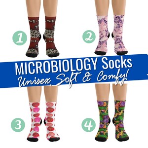 MICROBIOLOGY SOCKS, Fun Lab Science Socks, Lab Tech Gift, Science Socks, Science Teacher Gift,Lab Week Gift,Scientist Gift,Pathologist Gifts