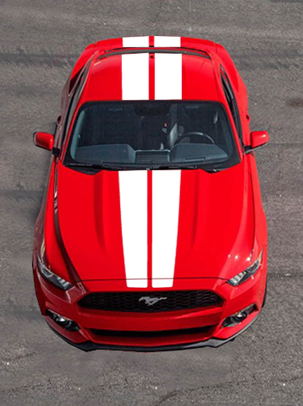 Mustang gt stripes discount