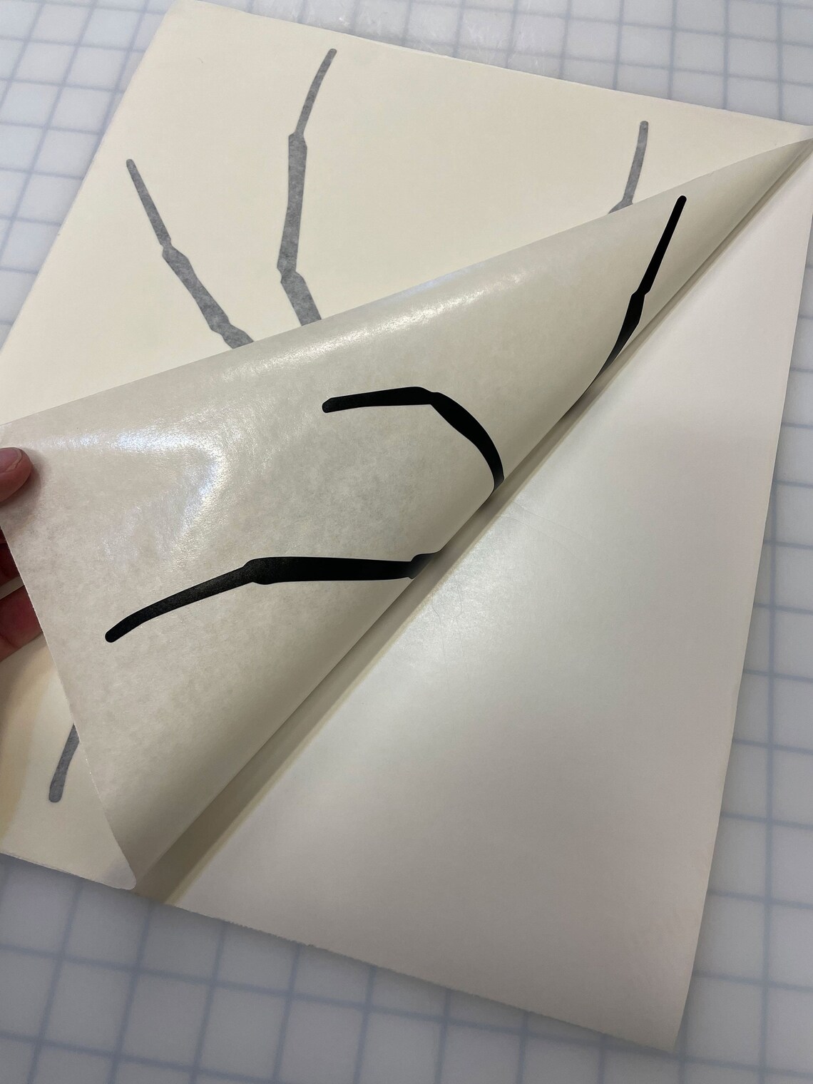 Black Widow Spider Hood Decal for Jeep 19 X 16 In. Etsy