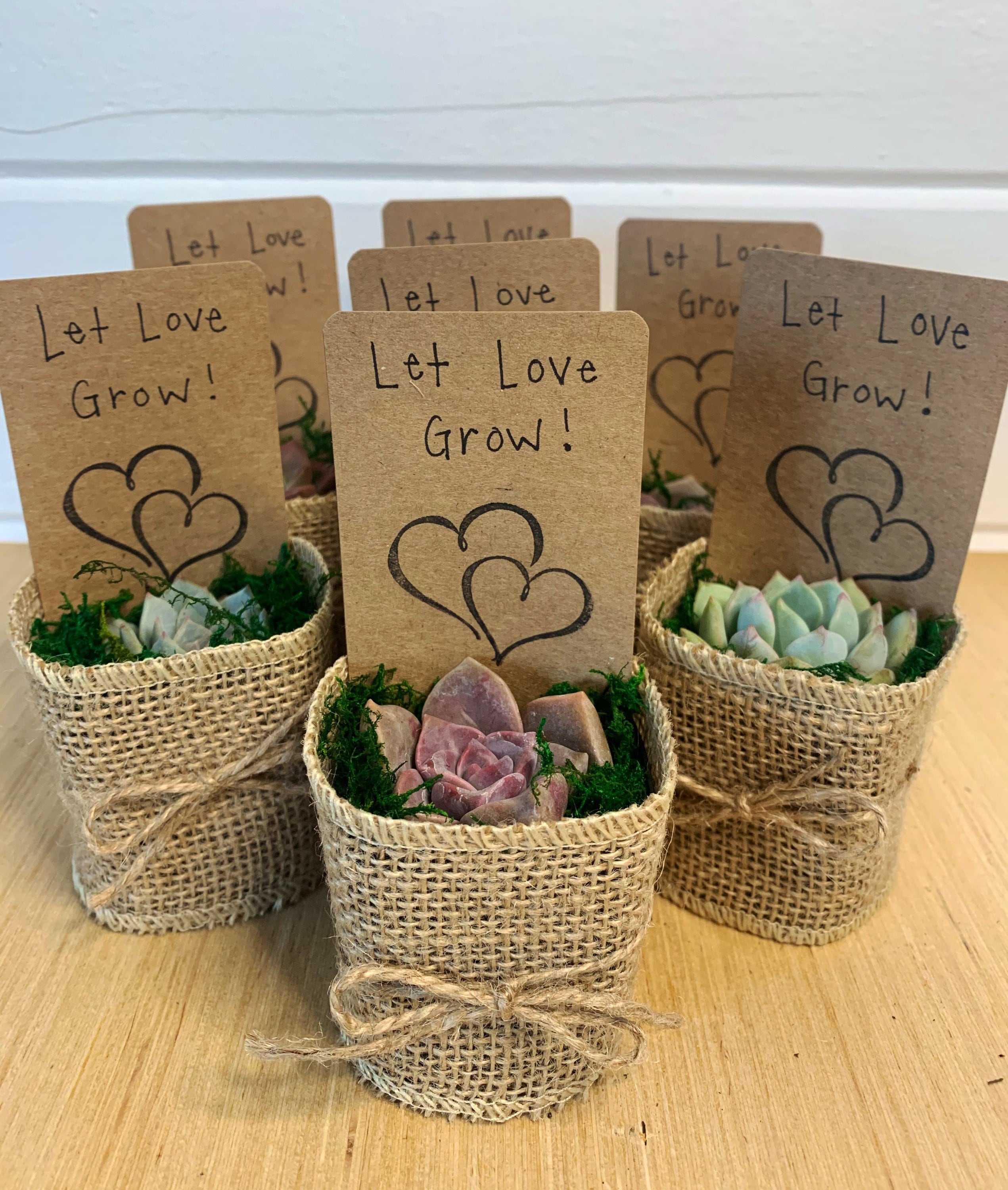 15 Pack Beautiful Wedding & Bridal Party Favors - Etsy