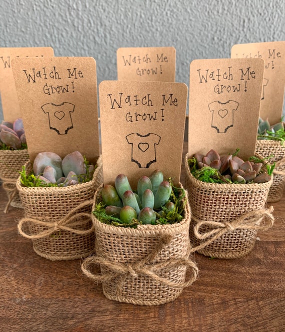 55 Best Baby Shower Party Favor Ideas - Unique Baby Shower Favors