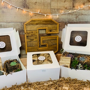 May include: Three white gift boxes with clear lids, each containing a succulent plant arrangement. The boxes are arranged on a brown surface with shredded paper. A wooden letter G is behind the boxes.