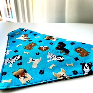 Cartoon Dogs Pet Bandana