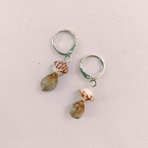 May include: A pair of silver hoop earrings with a brown and white shell charm hanging from each hoop.