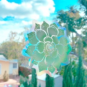 Succulent Sun Catcher | Rainbow Window Film