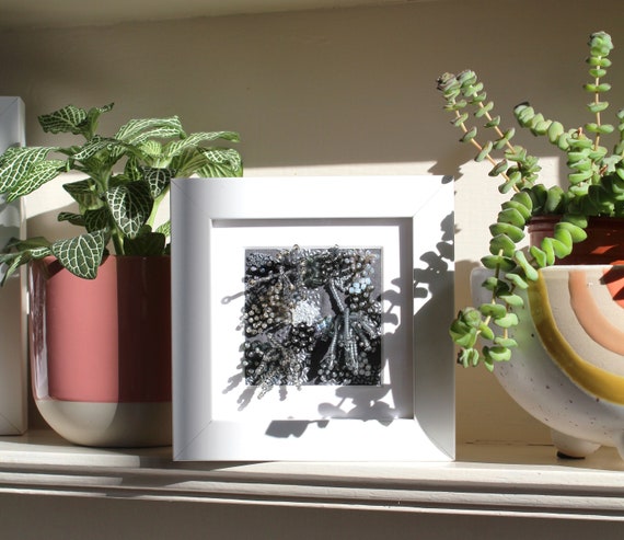 Framed mini dark grey embroidered coral artwork