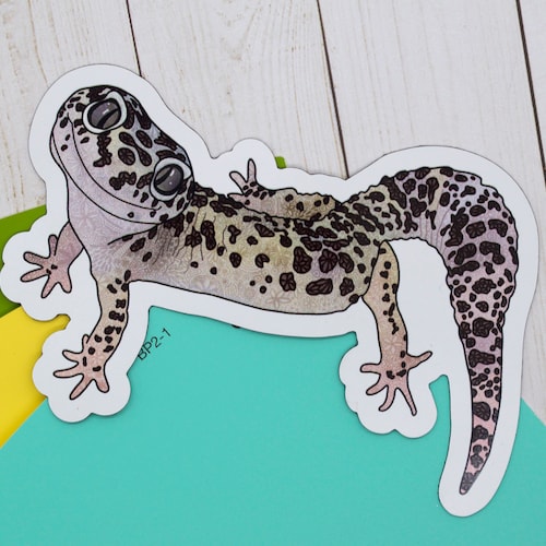 Reptiles Tshirt Lizard Pet Lover Gift Tshirt Reptile Pets Etsy