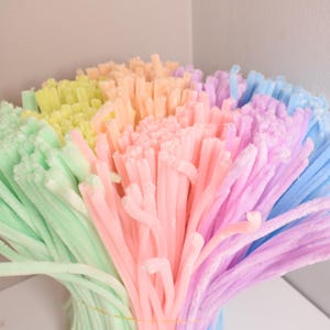 May include: A bundle of colorful pipe cleaners in pastel shades of green, yellow, orange, pink, purple, and blue. The pipe cleaners are arranged together, creating a vibrant and textured display. Ideal for craft projects.