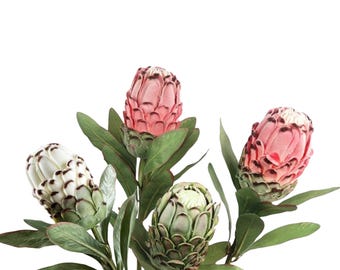 Protea Stems. Hawaiian Flowers. Tropical Flowers RED - Etsy