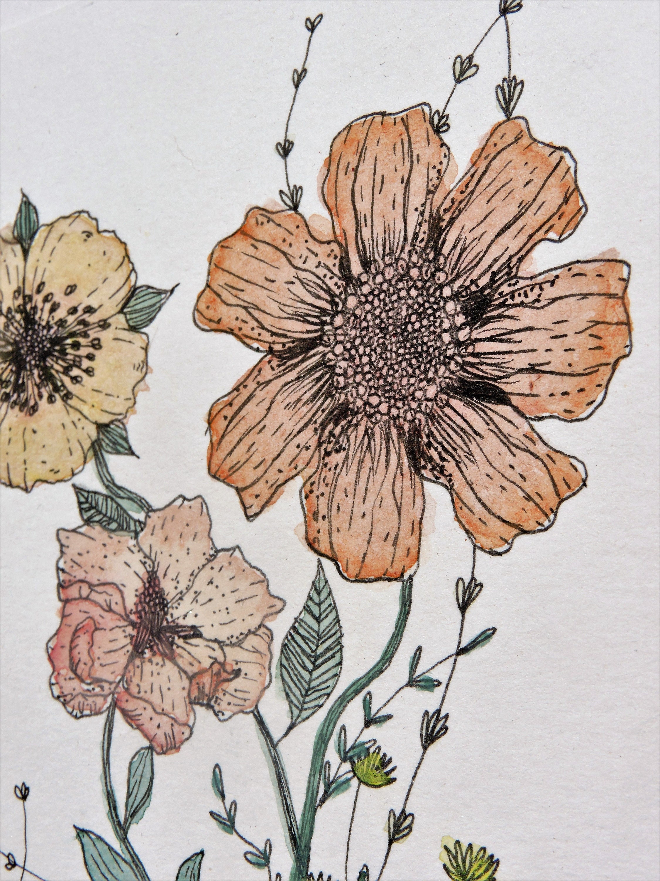 Wildflower watercolor and ink painting flowers drawing 5x7 Etsy
