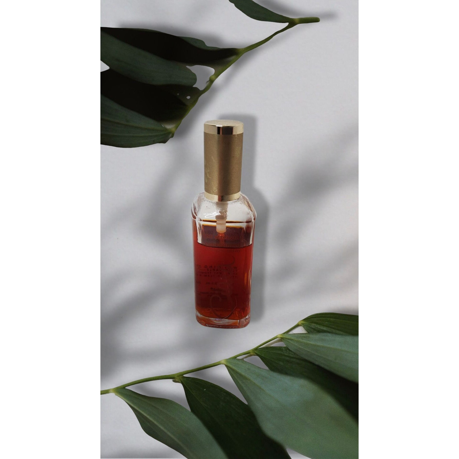 Ciara revlon perfume new arrivals