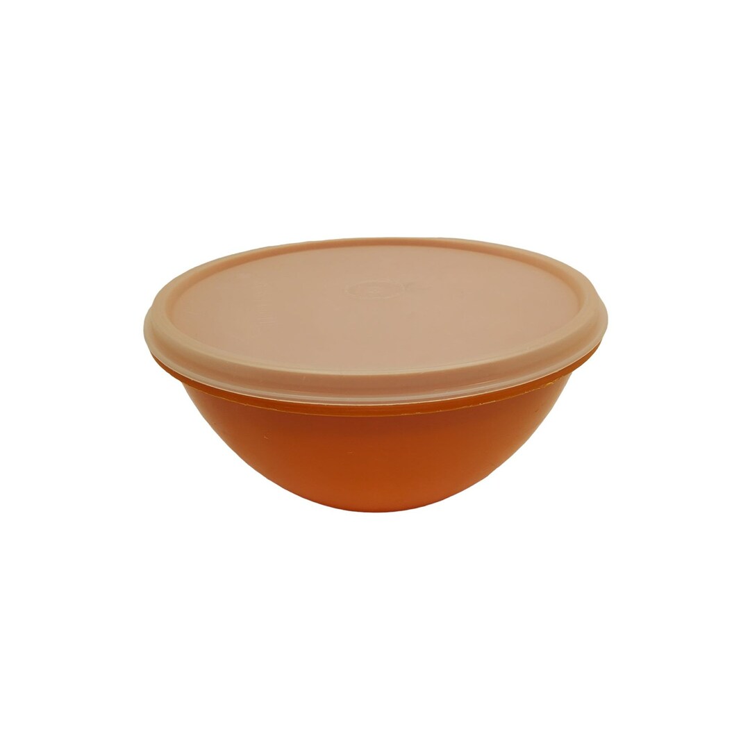 Vintage Tupperware Food Storage Container With Lid 2353. Etsy